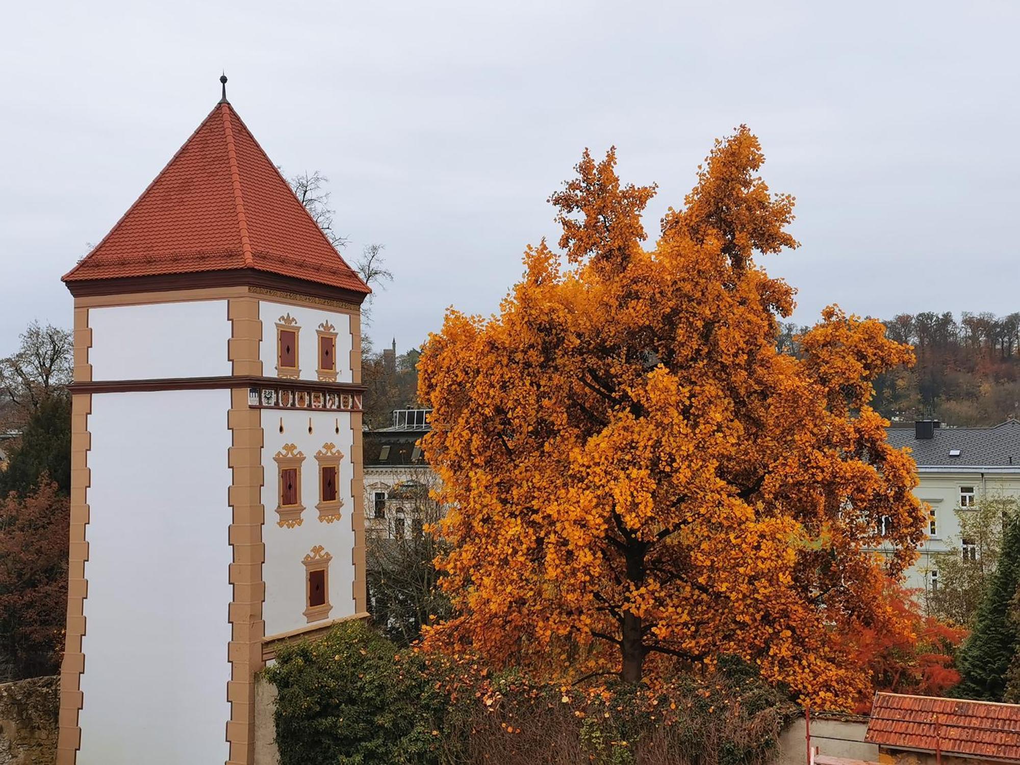 Amedia Plaza Kremsmünstererhof 4* Wels